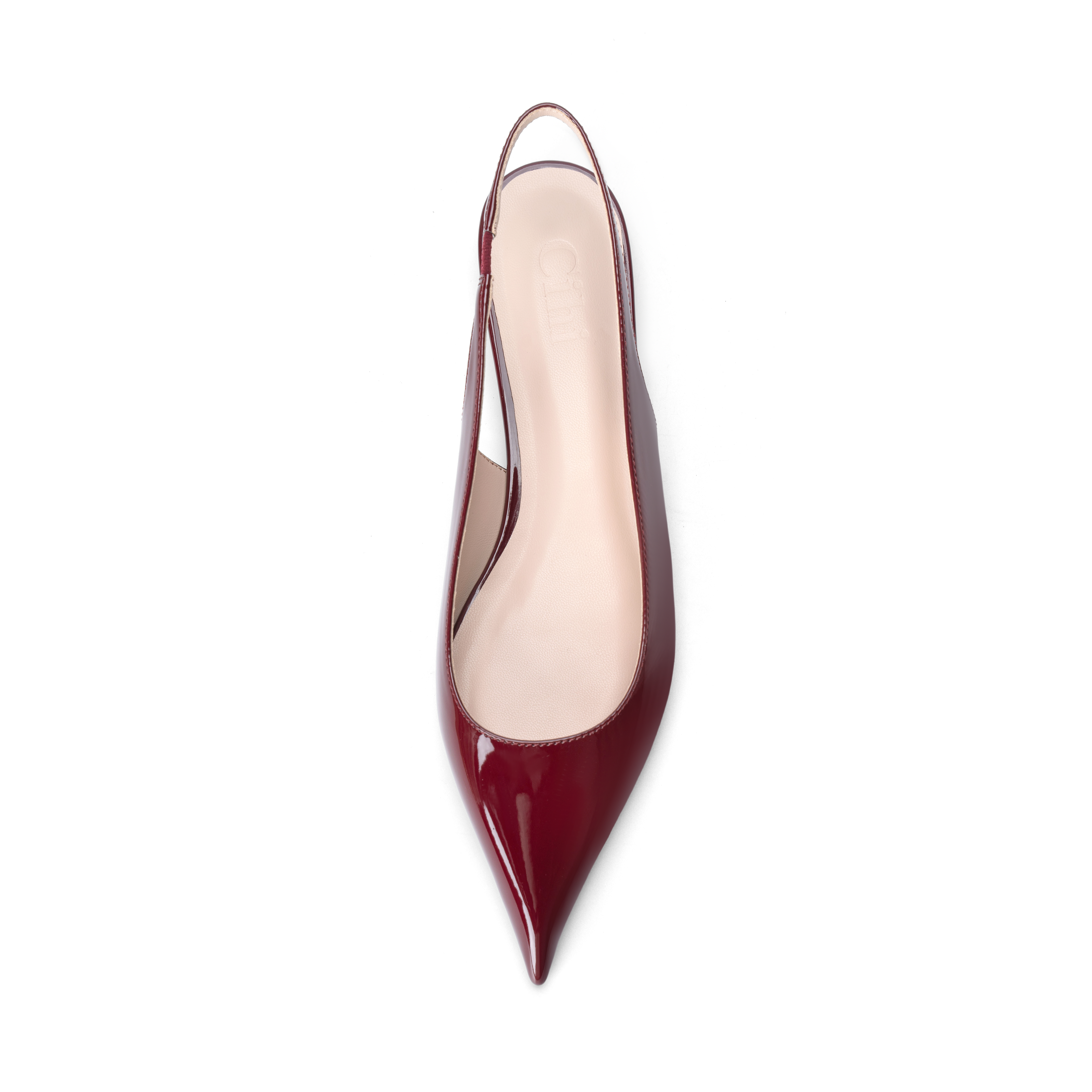 Cihi Lambskin Mirror Pointed-Toe Pumps